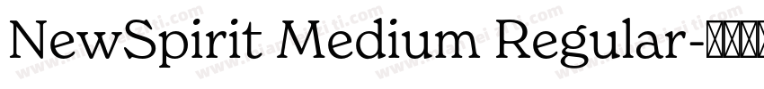 NewSpirit Medium Regular字体转换